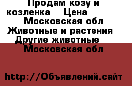 Продам козу и козленка  › Цена ­ 15 000 - Московская обл. Животные и растения » Другие животные   . Московская обл.